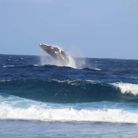 Bed and Breakfast Tifaifai Et Cafe Huahine Fare Exterior foto